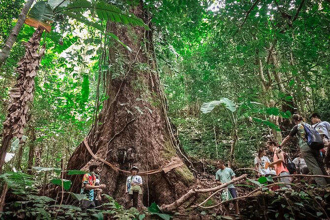 Full-Day Trekking and Sightseeing Tour in Mae Kampong - The one-hour ride into the mountains