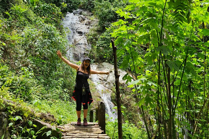 Full-Day Trekking and Sightseeing Tour in Mae Kampong - Four hours among old trees and forest streams
