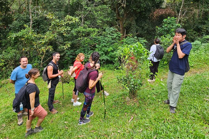 Full-Day Trekking and Sightseeing Tour in Mae Kampong - Meeting the gibbons and supporting their care