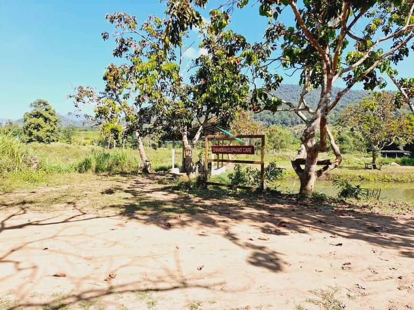 Full-day with CHIANGMAI ELEPHANT CARE and Sticky waterfall - Who will enjoy this day most?