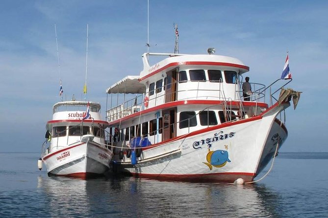 Fun Diving Safari Day Trip From Koh Lanta - Certified Divers - Bida Nok near Koh Phi Phi from May 16 through October 14