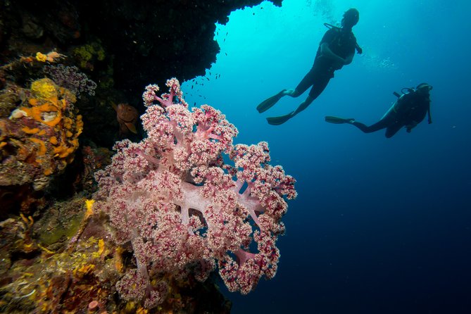 Fun Diving Safari Day Trip From Koh Lanta - Certified Divers - Snorkeling, surface time, and mixed groups