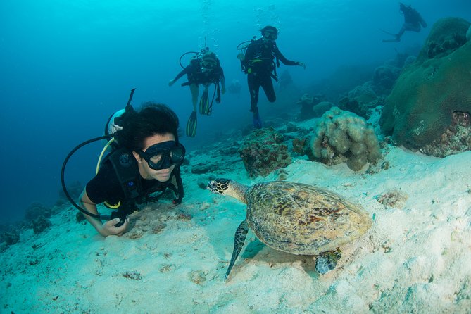 Fun Diving Safari Day Trip From Koh Lanta - Certified Divers - Who will enjoy this Koh Lanta boat trip?