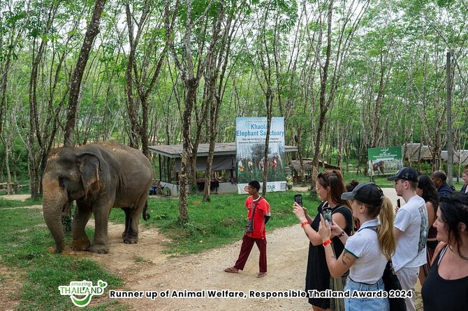 Guide Tour to Khaolak Elephant Sanctuary in Small Group - Key Points Before You Book