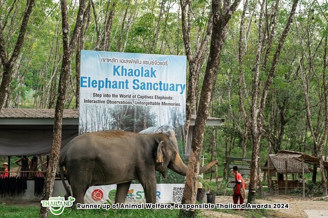 Guide Tour to Khaolak Elephant Sanctuary in Small Group - Why This Elephant Visit Feels Different