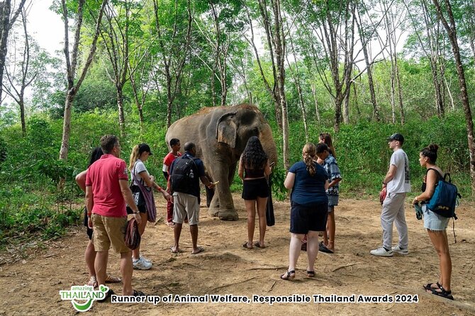 Guide Tour to Khaolak Elephant Sanctuary in Small Group - Arrival, Coffee, and the Guide Briefing