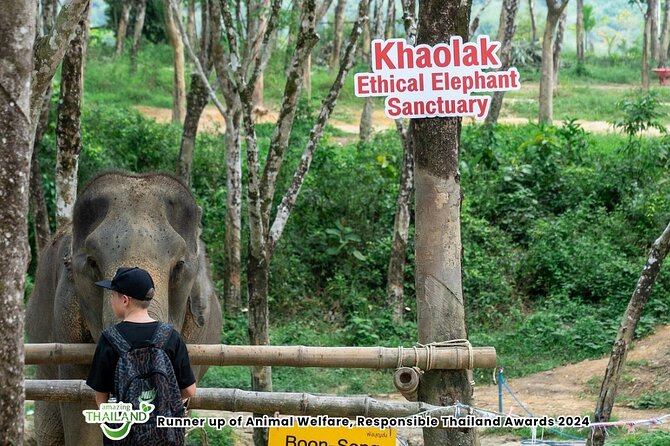 Guide Tour to Khaolak Elephant Sanctuary in Small Group - Feeding the Elephants Without Turning It Into a Show