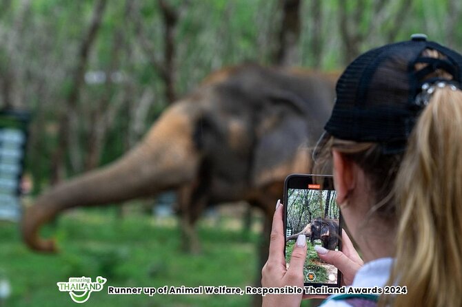 Guide Tour to Khaolak Elephant Sanctuary in Small Group - The One-Hour Jungle Walk