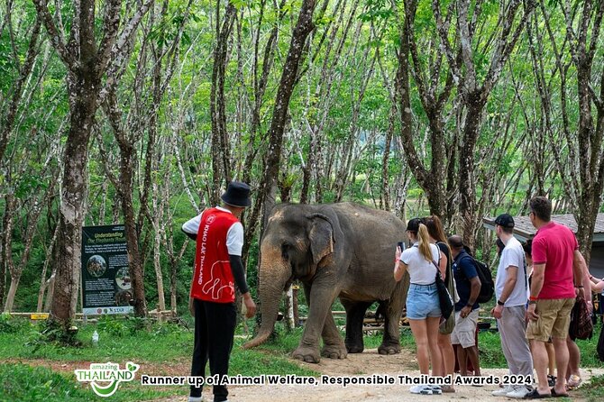 Guide Tour to Khaolak Elephant Sanctuary in Small Group - Small Groups Make a Real Difference