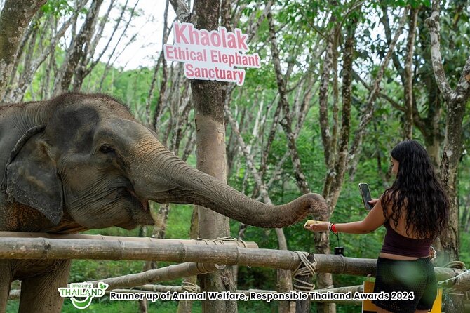 Guide Tour to Khaolak Elephant Sanctuary in Small Group - What the Ethical Promise Means in Practice