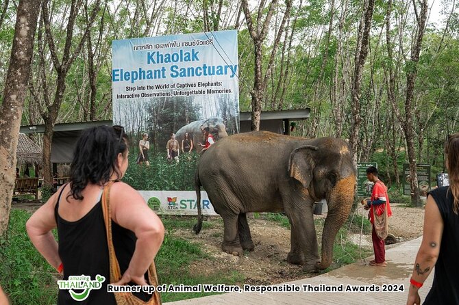 Guide Tour to Khaolak Elephant Sanctuary in Small Group - Hotel Pickup and the Morning Start