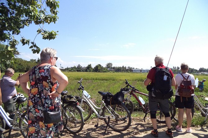 Half-Day Colors of Chiang Mai Biking Tour - Wat Pa Ngio and a practical introduction to Buddhism