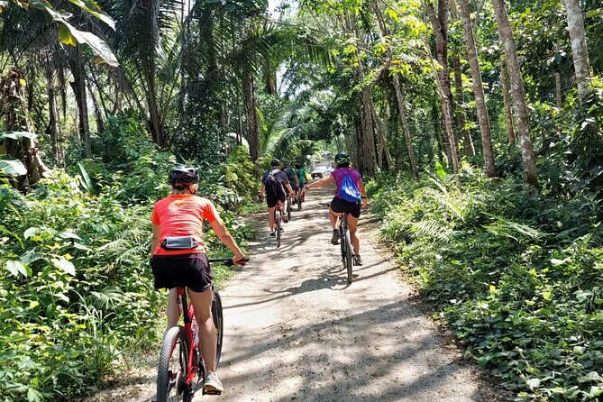 Half-Day Countryside Cycling Small-group Tour in Phuket - What makes this Phuket bike ride worth considering