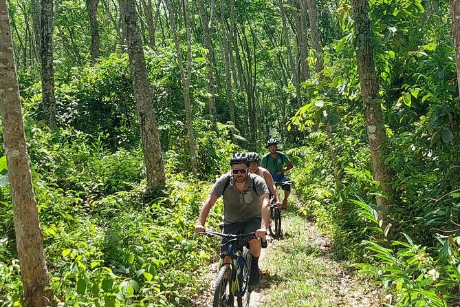 Half-Day Countryside Cycling Small-group Tour in Phuket - Thalang’s farms, villages, and working countryside