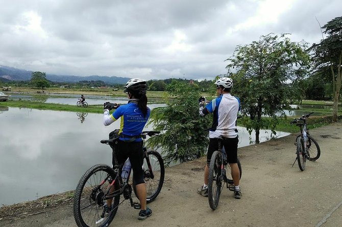 Half Day Cycling Tour to the White temple - Why cycle to Chiang Rai’s White Temple?