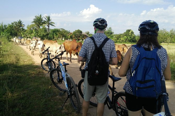 Half Day Cycling Tour to the White temple - Who will enjoy this ride most?