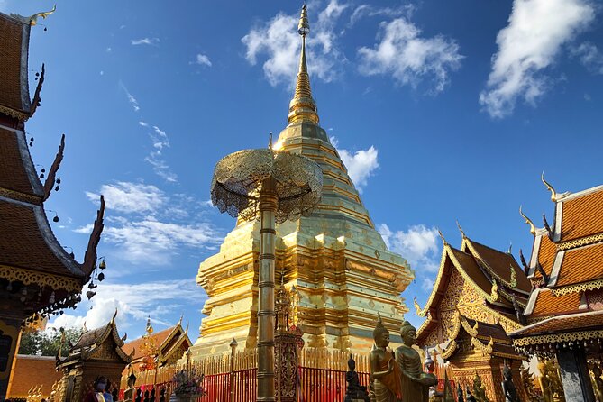 Half Day Doi Suthep Temple and Palad Temple (Private tour) - What a private guide adds to the visit