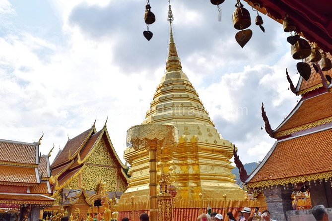 Half Day Doi Suthep Temple and Palad Temple (Private tour) - How the $76.26 price measures up