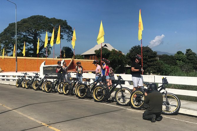 Half-day E-bike Countryside and rice paddies (flat land, GUIDED) - Key points before you book