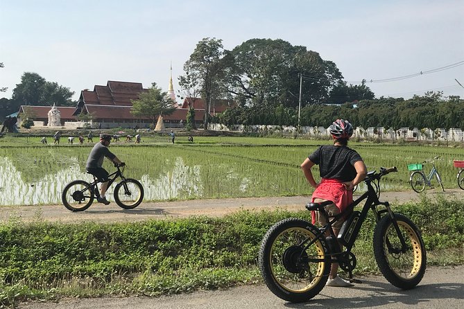 Half-day E-bike Countryside and rice paddies (flat land, GUIDED) - The Ping River and Wat Chang Nam area
