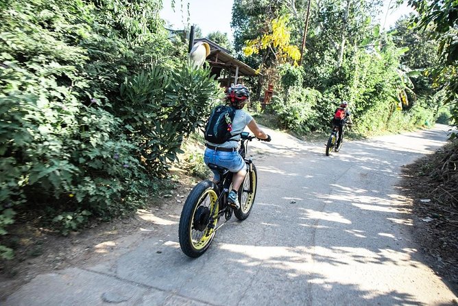 Half-day E-bike Countryside and rice paddies (flat land, GUIDED) - Food at the end of the ride