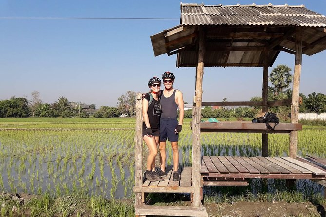 Half-day E-bike Countryside and rice paddies (flat land, GUIDED) - Are the e-bikes comfortable and suitable?