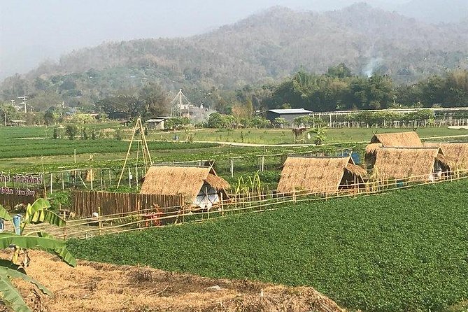Half-day E-bike Nam Phrae (hilly, fully paved roads, GUIDED) - Safety, comfort, and the real difficulty level