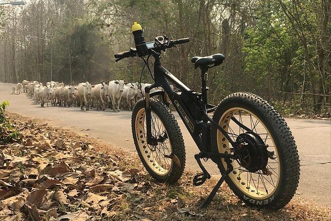 Half-day E-bike Nam Phrae (hilly, fully paved roads, GUIDED) - How the guides shape the experience