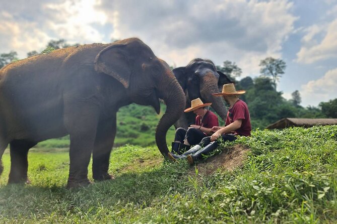 Half-Day Elephant Experience at Rantong - Food, showers, and a welcome finish