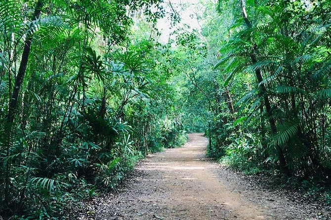 Half Day Jungle Tour to Emerald pool and Krabi Hot Spring - Timing, crowds, and the half-day label