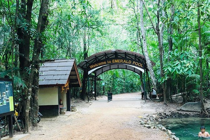 Half Day Jungle Tour to Emerald pool and Krabi Hot Spring - Who will enjoy this outing most