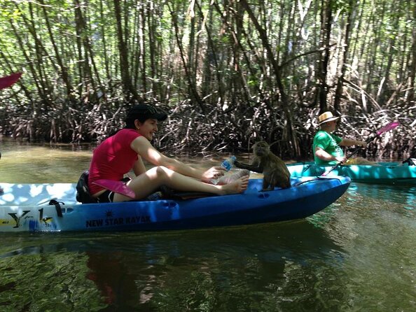 Half Day Kayaking at Ao Thalane Krabi - Key points at a glance