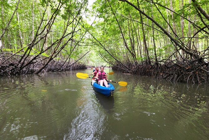 Half Day Kayaking Experience In Ao Thalane - Key points to know before you paddle