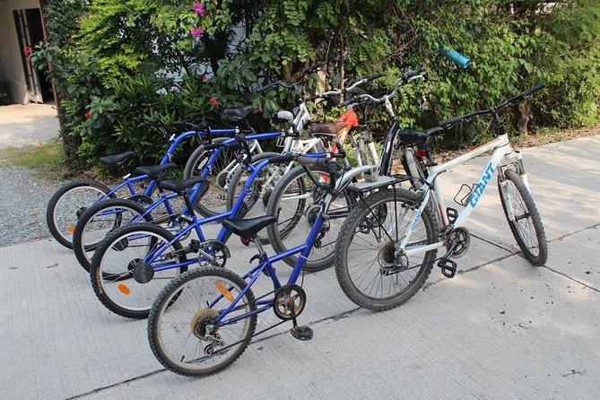 Half-Day Lanna Countryside Cycling Tour in Chiang Mai - Morning heat and the best time to ride