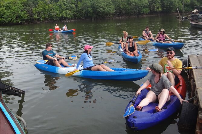 Half day Mangrove by Kayaking or Longtail boat from Koh Lanta - What this Koh Lanta tour is really like
