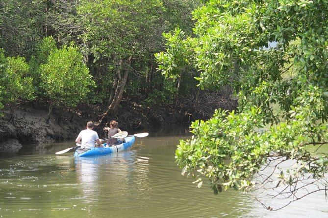 Half day Mangrove by Kayaking or Longtail boat from Koh Lanta - Why the longtail boat is a different experience