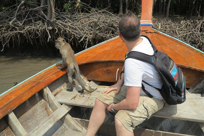Half day Mangrove by Kayaking or Longtail boat from Koh Lanta - Monkey Point and the macaques