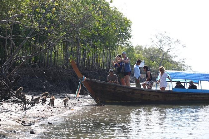 Half day Mangrove by Kayaking or Longtail boat from Koh Lanta - Is $24.34 good value?