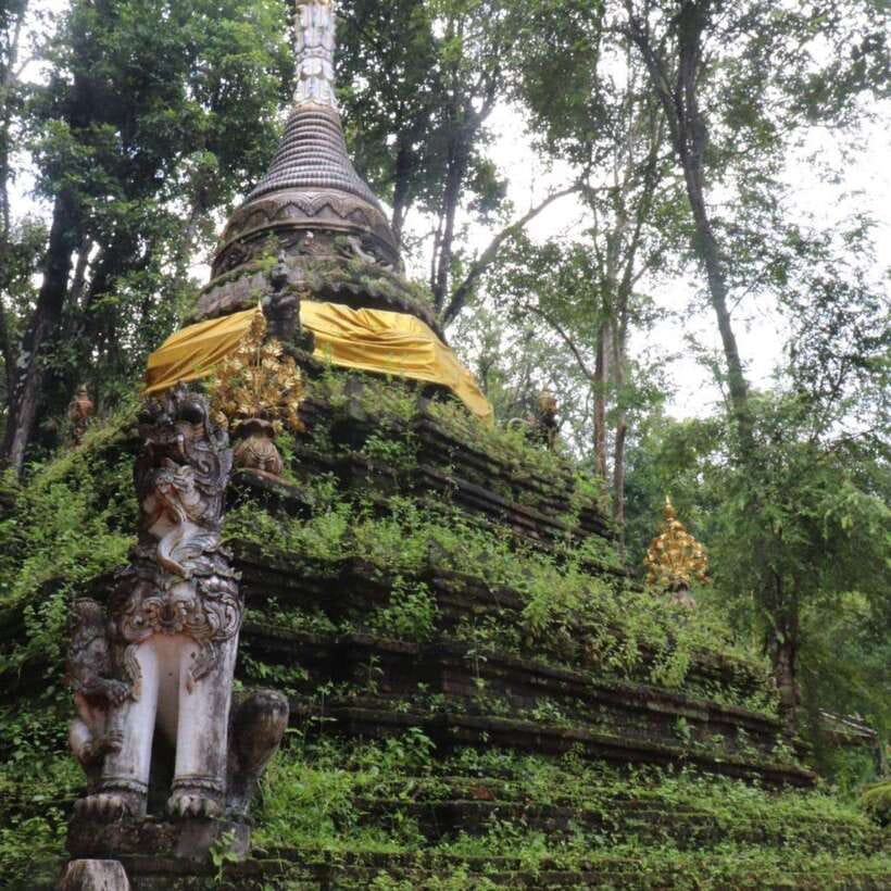 Half Day Morning Wat Pha Lat & Wat Phra That Doi Suthep Tour - Should you book it?