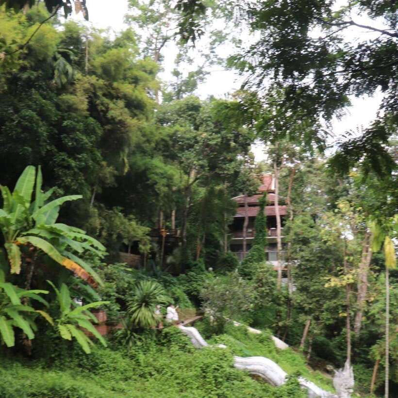 Half Day Morning Wat Pha Lat & Wat Phra That Doi Suthep Tour - Time, comfort, and the value of $24
