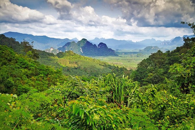 Half Day : Sok River + Monkey Temple + View Point - Jungle coffee over an open fire