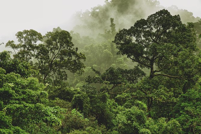 Half Day : Sok River + Monkey Temple + View Point - Is $61 a fair price?