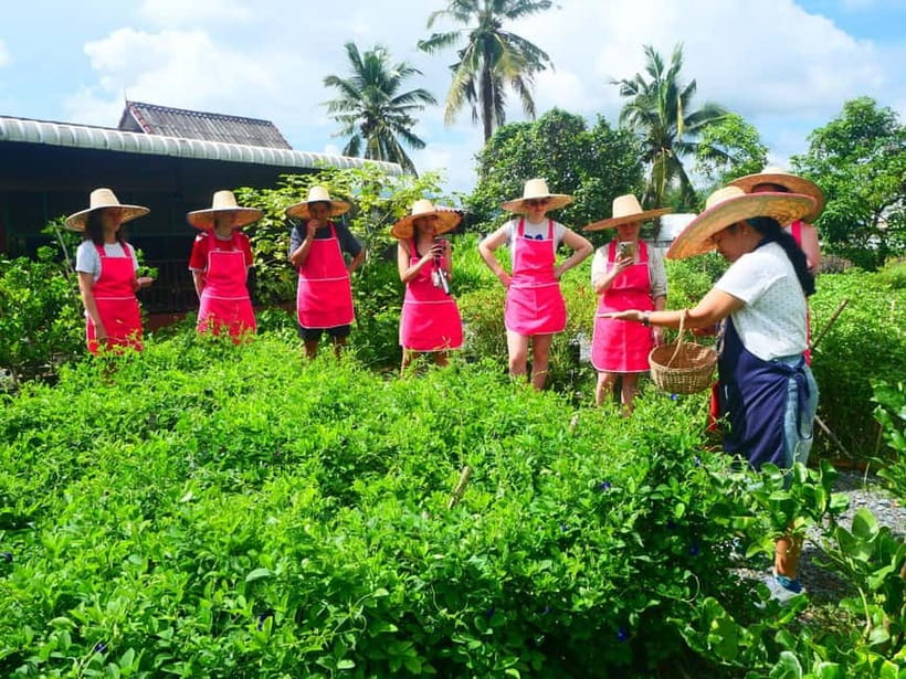 Half-Day Thai Cooking Class on a Local Farm Near Chiang Mai - Why the recipe e-book matters