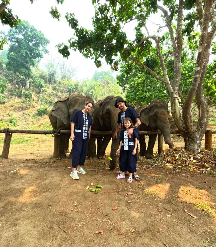 Half-day with CHIANGMAI ELEPHANT CARE program (12pm-6pm.) - The briefing sets the right tone