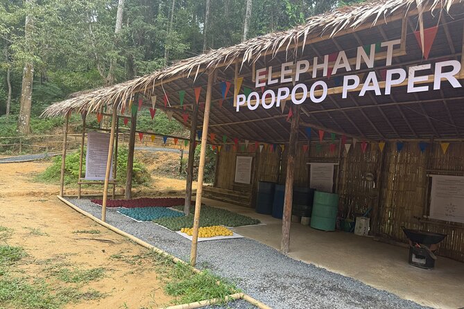 Half day with Elephants at Patong Elephant Hug （No ride No trick） - Why this Phuket elephant visit feels different