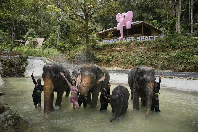 Half day with Elephants at Patong Elephant Hug （No ride No trick） - Pickup from Phuket hotels and the six-hour day