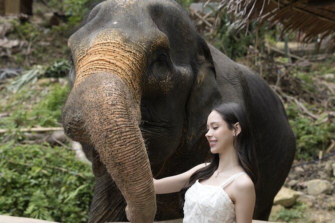 Half day with Elephants at Patong Elephant Hug （No ride No trick） - What the $32.50 price includes