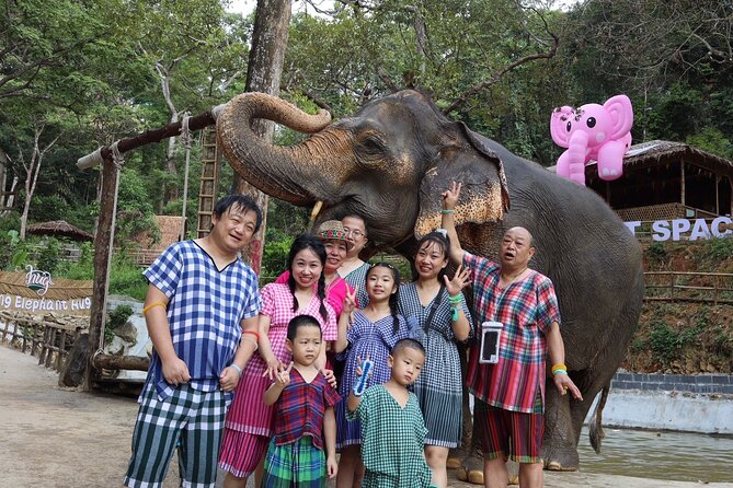 Half day with Elephants at Patong Elephant Hug （No ride No trick） - Who will enjoy this most