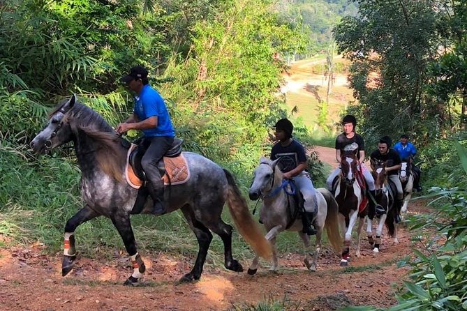 Horseback Riding 1 hour trail - Key points before you saddle up