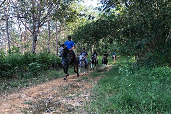 Horseback Riding 1 hour trail - Starting near Chalong and Big Buddha hill